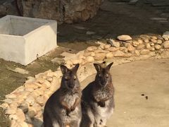 -武汉紫薇都市田园