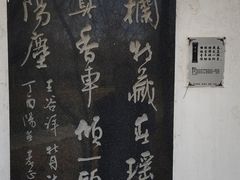 -洛阳市隋唐城遗址植物园