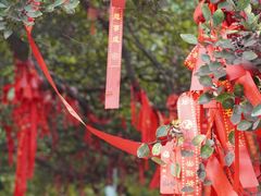 -句容茅山景区
