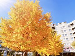 -辽宁大学(崇山校区)