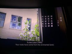 -英皇电影城(平安金融中心IMAX激光店)