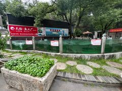 -天怡·鱼工厂(梅溪湖店)