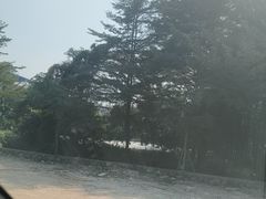-新塘水果乐园(东洲大道店)