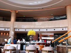 -Plush大堂酒廊(北京金融街威斯汀大酒店)