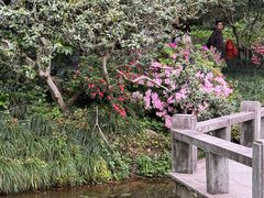 -杭州植物园