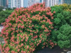 -西湖文化广场