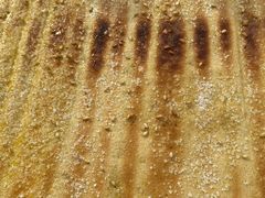 -勃利地摊·勃立小串烧烤