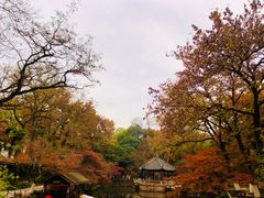 -虞山风景区