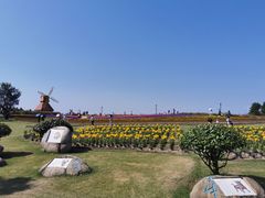 -杭州湾海上花田景区
