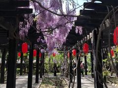 -晋祠公园