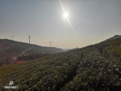 -东白山