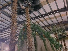 -南宫温泉水世界