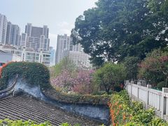 -乌山风景区