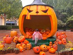 -郑州方特梦幻王国