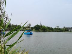 -上海长兴岛郊野公园