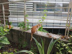 -广东外语外贸大学(白云山校区)