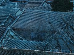 -北京王府井天伦王朝酒店