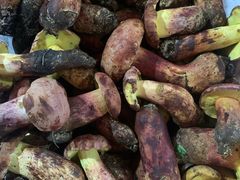 -野菌园·野生菌火锅首创第一家(关兴路总店)