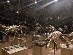 -世界恐龙谷景区