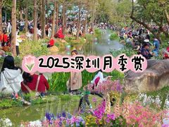 -人民公园(罗湖区)