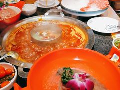 -大龙燚火锅(南山大道店)