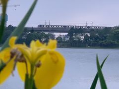 -美兰湖景区