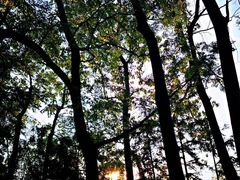 -重庆雨台山风景区