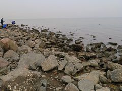 -深圳湾公园(南山区)