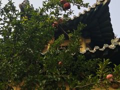 -白佛山景区