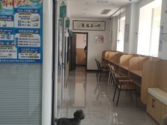 -瑞派长江宠物医院·猫科·外科·24小时夜护(谊城公寓分院)