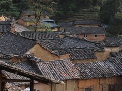 -杨家堂村