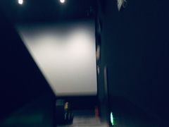 -百美汇影城(LUXE嘉里中心店)