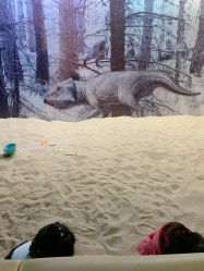 点击看大图 -恐龙探索乐园(磁器口店)