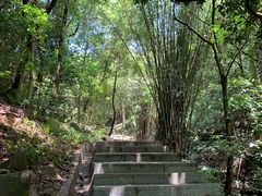-火炉山森林公园