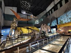 -湖南省地质博物馆