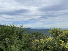 -北京西山国家森林公园