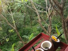 -万兴启丰椰子文化园餐厅