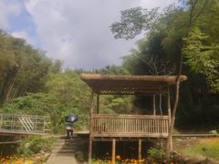 -宁波浙东大竹海景区