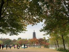 -上海方塔园