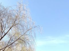 -西安浐灞国家湿地公园