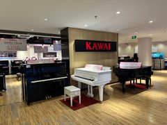 -柏斯音乐艺术中心·钢琴·吉他(上音店)