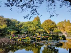 -杭州植物园