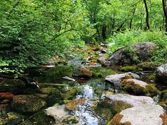 -玉渡山自然风景区