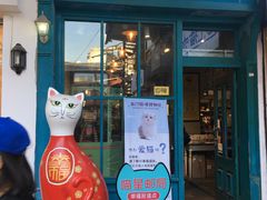 -猫咪博物馆(顶澳仔猫街店)