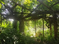 -广西壮族自治区药用植物园