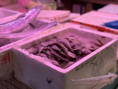 -蛇口市场