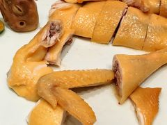 -千灯盛汇·头牌粤菜(致越优城店)