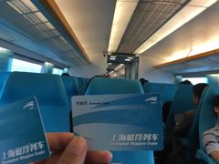 -龙阳路磁悬浮列车总站-停车场