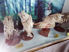 -长岛南北长山旅游景区