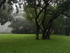 -晓港公园